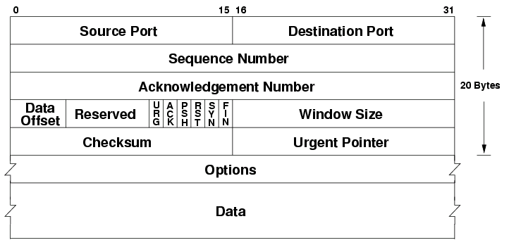 TCP header